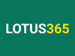 Lotus365 illegal betting platform