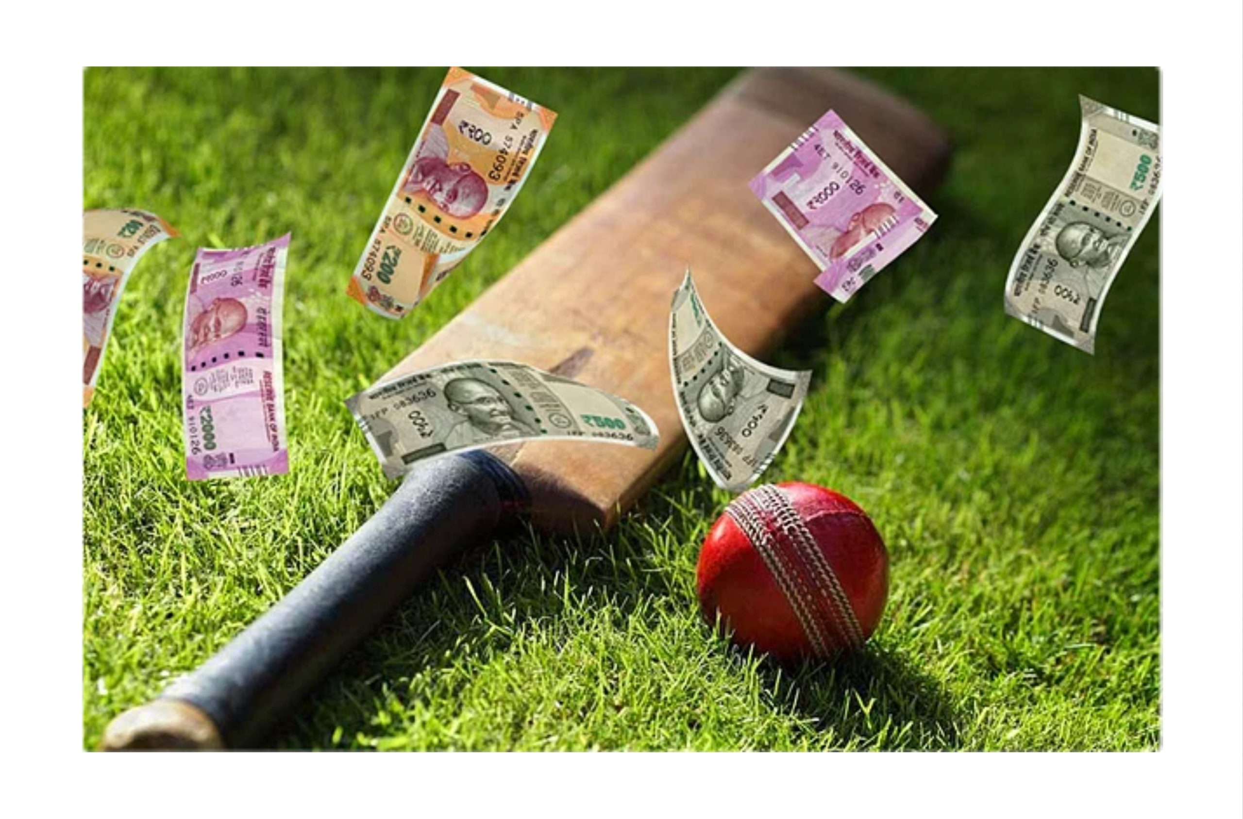 World Cup Final: Punters on betting spree; India favourites to tip over Australia